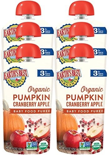 Organic Stage 3, Pumpkin, Cranberry & Apple, 4.2 Ounce Pouch (Pack of 6)