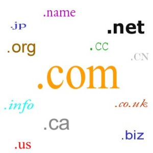 $4.99(was $11.99)Get Your Site On The Web with .com Domain