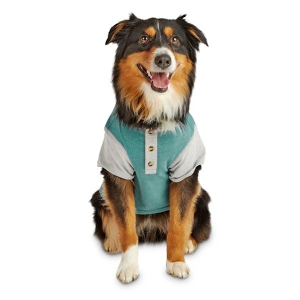Reddy Teal & Grey Colorblocked Jersey Dog Henley T-Shirt, X-Small | Petco