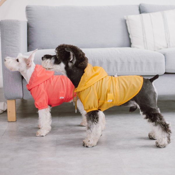 Split-Vent Designer Waterproof Dog Raincoat - Red - Extra Small