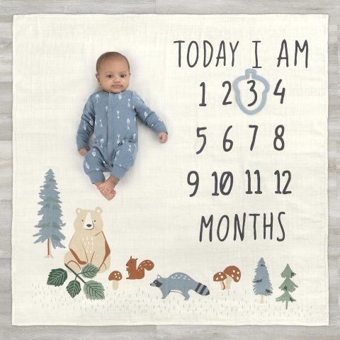 Starting at $6.96Modern Moments by Gerber Baby Boy Milestone Blanket Frame Set, 2-Piece