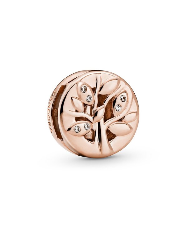 Timeless 14K Rose Gold Plated CZ Family Charm