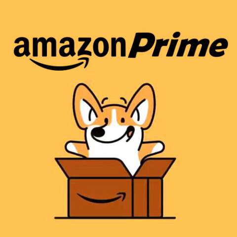 Amazon Prime会员福利盘点一年订阅低至 34 年开通免费试用30天明天下单更顺畅 德国打折网