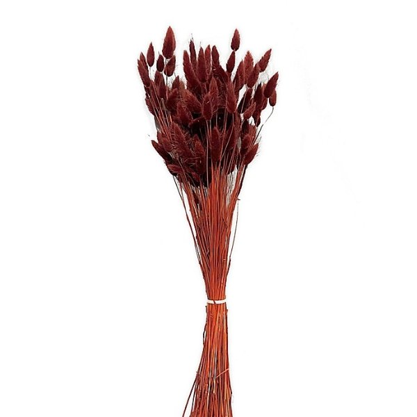 Bee & Willow™ Dried Lagurus Decorative Bouquet in Rust | Bed Bath & Beyond