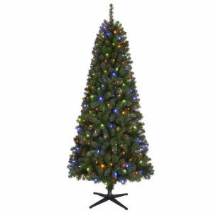 North Pole Trading Co. 7 Foot Cyprus Pre-Lit Christmas Tree