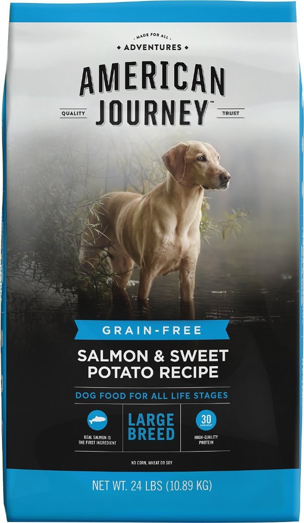 Large Breed Salmon & Sweet Potato Recipe Grain-Free Dry Dog Food, 24-lb bag - Chewy.com