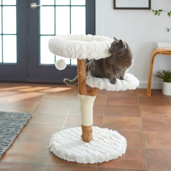 FRISCO Natural Wood Modern Cat Tree with Toy, Ivory, Medium - Chewy.com