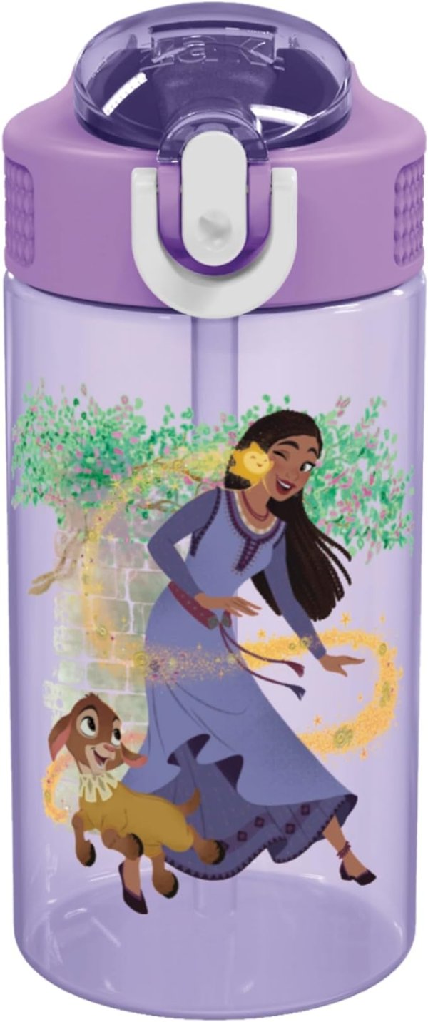 16oz 防漏吸管水壶，Disney Wish图案