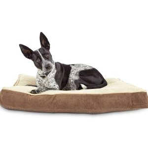 Petco Dog Beds Sale