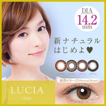 [Contact lenses] LUCIA [10 lenses / 1Box] / Daily Disposal 1Day Disposable Colored Contact Lens DIA 14.2mm