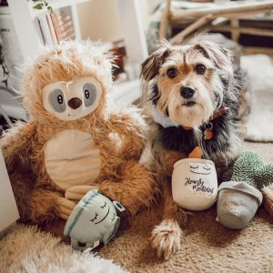 Serenity Collection 精选狗狗衣服、玩具、用品等促销