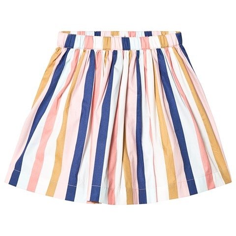 Multi Stripe Suzon A-Line Skirt | AlexandAlexa