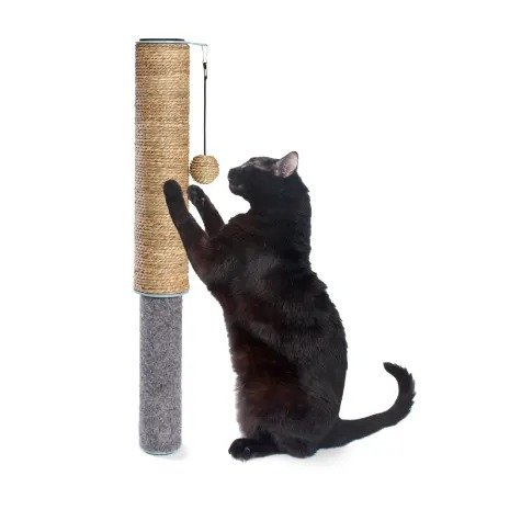 Scratch Pole Dual Surface Cat Toys, Small | Petco