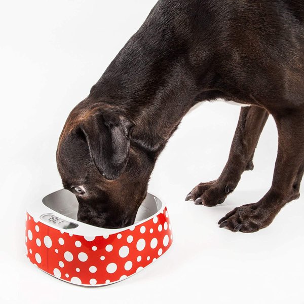 PETKIT 'FRESH' Anti-Bacterial Waterproof Smart Food Weight Calculating Digital Scale Pet Cat Dog Bowl Feeder