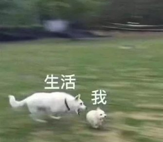 18.2.jpg