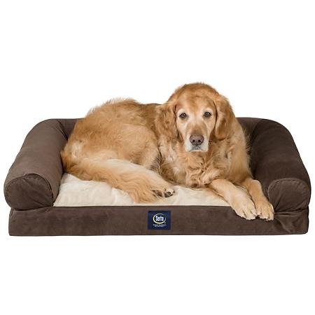 XL Round Bolster Couch Pet Bed 40"x 30" (Choose Your Color) - Sam's Club