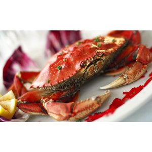 （San Francisco）Crab Plates for Two or Two Dozen Oysters and Two Drinks @ Groupon