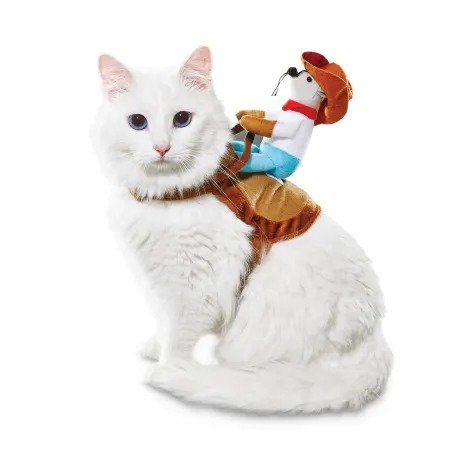Cowboy Kitty-Up Cat Costume | Petco
