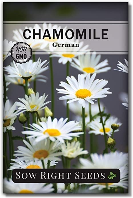Right Seeds - German Chamomile Seeds for Planting - Non-GMO Heirloom Seeds; Instructions to Plant and Grow an Herbal Tea Garden, Indoors or Outdoor; Great Gardening Gift. (1)