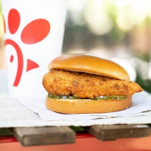 Free original chicken sandwhichToday Only: Chick-fil-A Limited time promotion