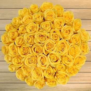 50 Stem Valentine's Day Yellow Roses