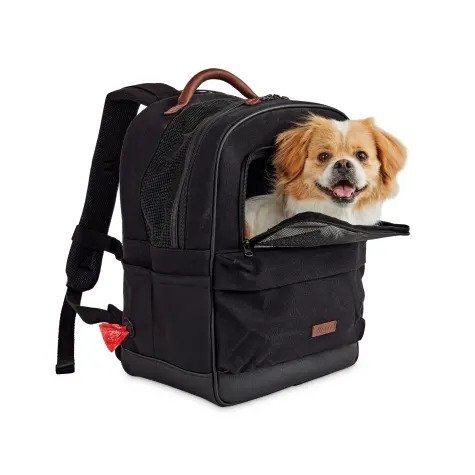 Reddy Black Cotton Canvas Pet Carrier Backpack, 16