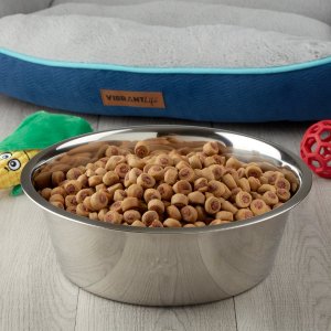 Vibrant Life Stainless Steel Dog Bowl with Paws