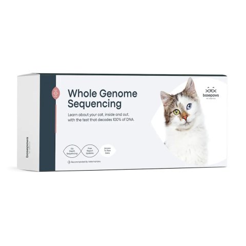 猫咪全基因序列检测包