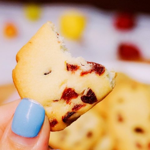 Homemade Popular CookiesCranberry Cookie Recipe