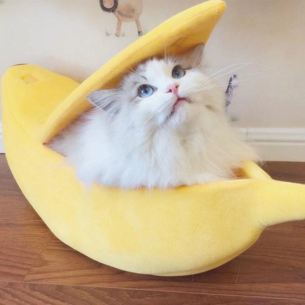 宠物香蕉船