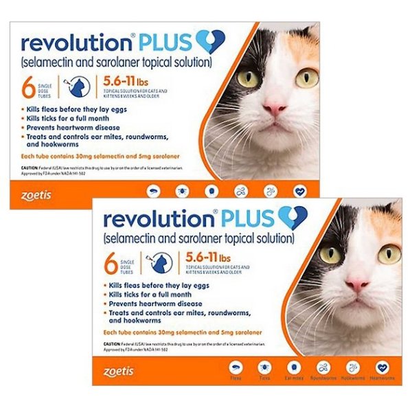 Plus Topical Solution for Cats, 5.6-11 lbs, (Orange Box), 12 Doses (12-mos. supply) - Chewy.com