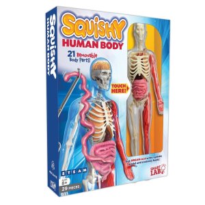 SmartLab Toys Squishy Human Body with 21 Removable Body Parts with Anatomy Book