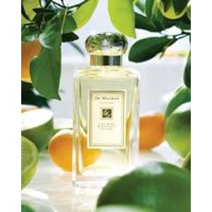 + Complimentary Standard Shipping With Over $175 Purchase @ Jo Malone London