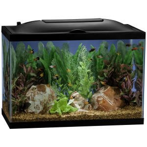 Marineland 55 gallon BioWheel LED Aquarium kit