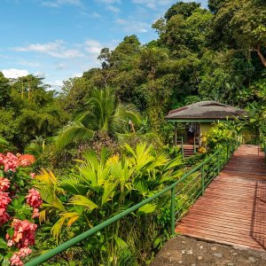 哥斯达黎加旅游 火山+雨林3地6晚机酒+SUV租车+每日早餐
