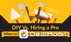 DIY Vs Hiring a Pro.jpg