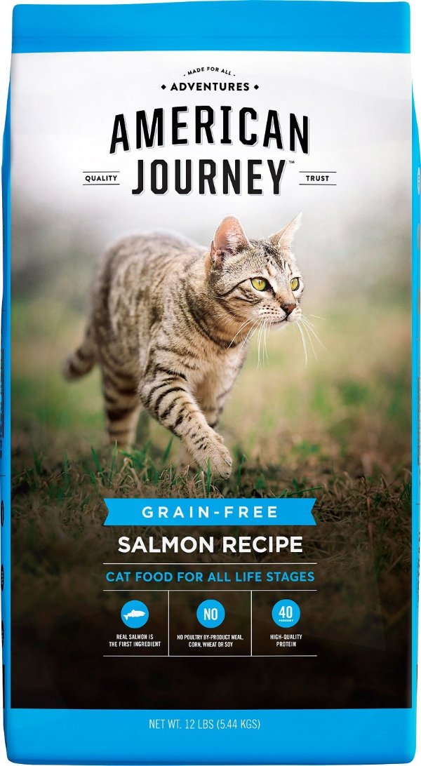 Salmon Recipe Grain-Free Dry Cat Food, 12-lb bag - Chewy.com