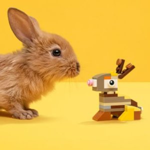 LEGO官网 复活节好礼推荐，封面兔兔图纸免费下载