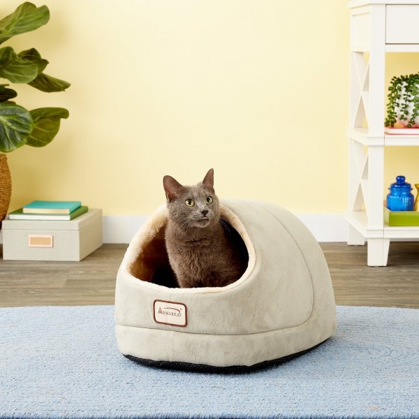 Cave Shape Covered Cat & Dog Bed, Sage Green/Beige - Chewy.com