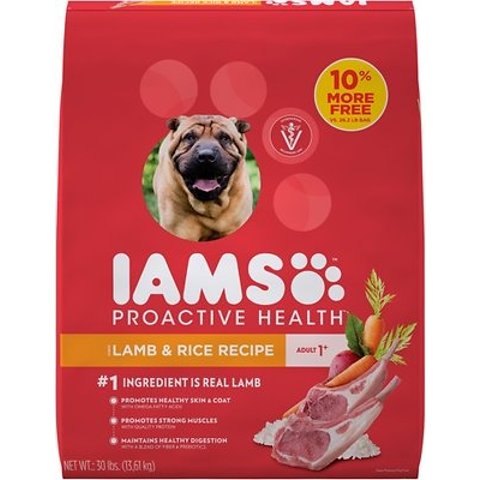chewy iams