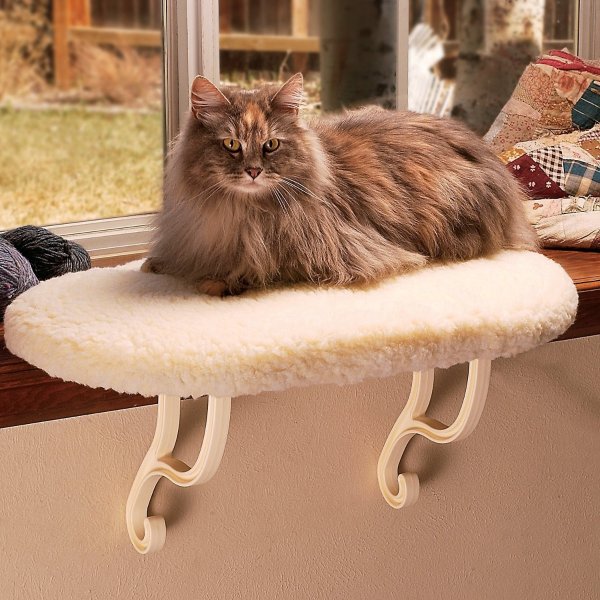 Thermo-Kitty Sill Cat Widow Perch, Tan - Chewy.com