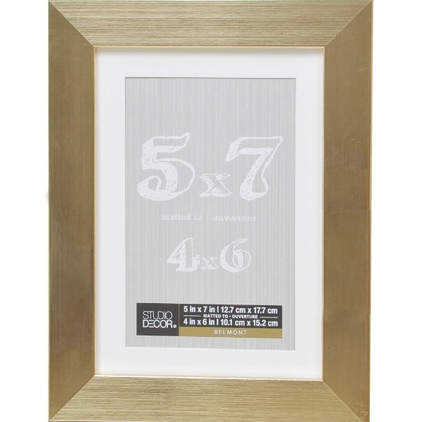 Gold Metallic Belmont Frame with Mat by Studio Decor®