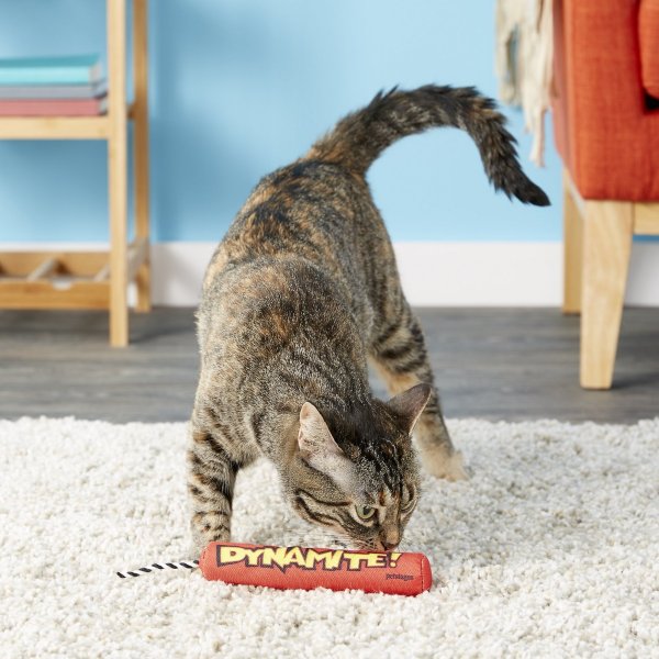 PETSTAGES Magic Dynamite Cat Toy with Catnip - Chewy.com