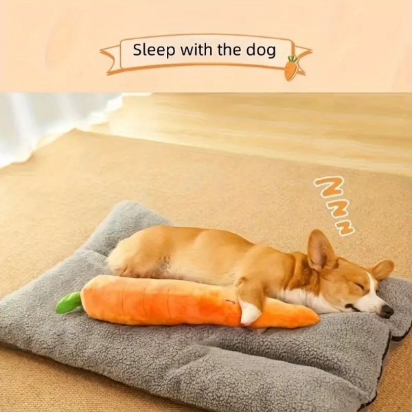 1pc Large Interactive Pet Chew Toy, Carrot Design For Fun Training And Tooth Cleaning