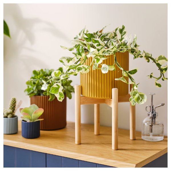 DAKSJUS Plant stand, bamboo, 8 ¼ "