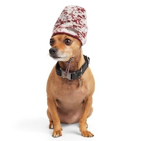 Reddy Camo Burgundy Reversible Dog Beanie, X-Small/Small | Petco