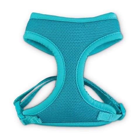 Teal Cat Harness and Leash Set | Petco