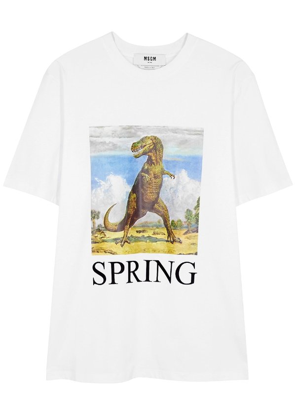 恐龙T恤
