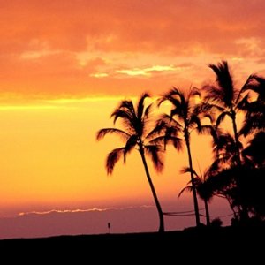5天夏威夷欧胡岛半自助游 含酒店+司机导游+门票等