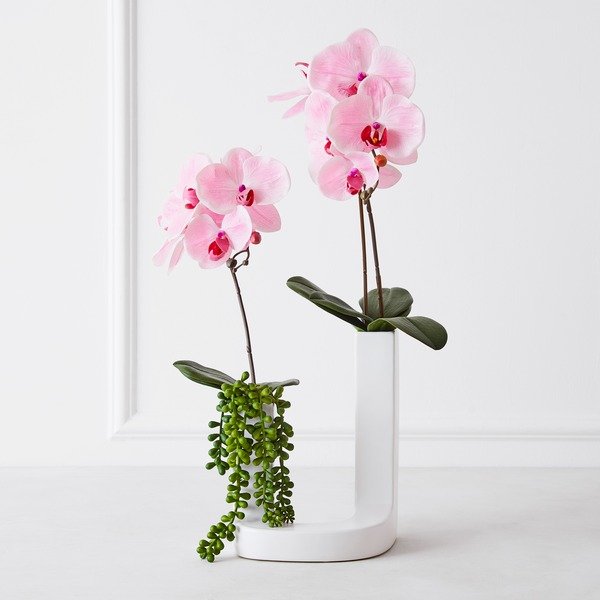 Nikki Chu - Pink Orchid In White Vase